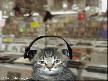MODERN TALKİNG-BAD BOYS BLUE(Remix)