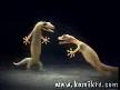Büyük Aşk - EnGuzel