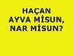 Horon Oynayan Penguen