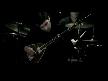 HAKAN ALTUN_2008_DİYELİM Kİ (ORJINAL KLİP)