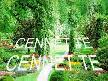 CENNETE CENNET TE CEMAL KURU