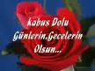 alçak