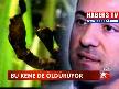 Kene hastalıkları kırım-kongo-