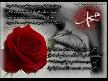 Muhteşem ilahi_Muhammed'e Gidemedim