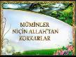 Müminler Allah'tan Niçin Korkar?