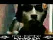 ceze rapstar