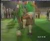 diego maradona show